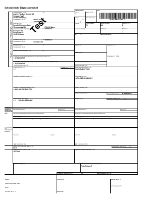 TSAD — Transit Accompanying Document (draft) (PDF preview)