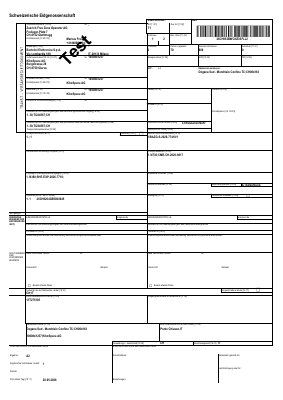 TSAD — Transit Accompanying Document (final) (PDF preview)